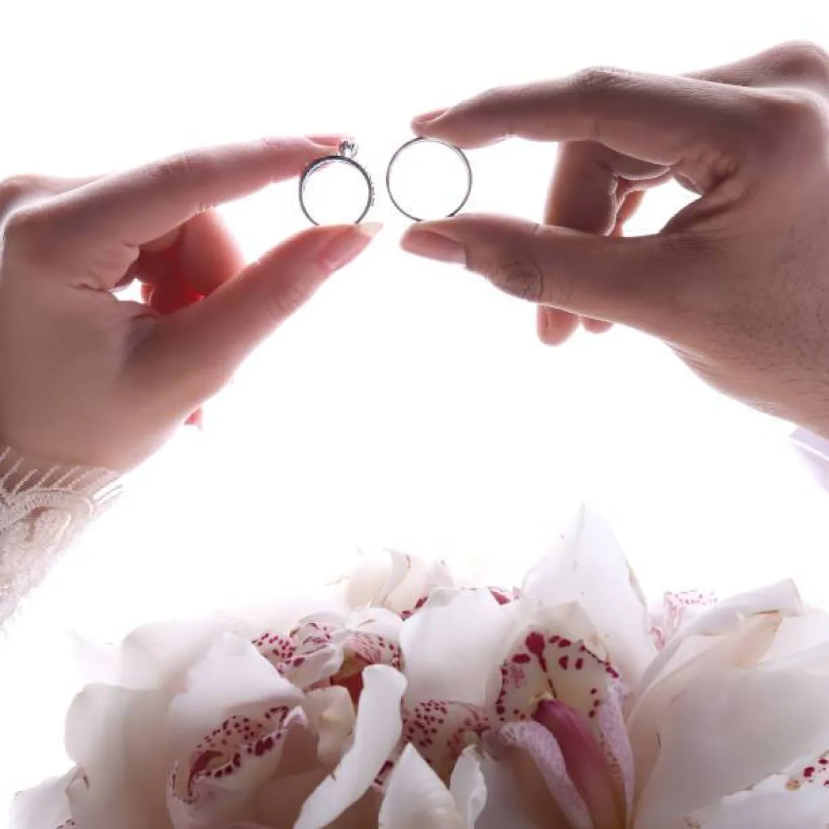 زفاف العزباء