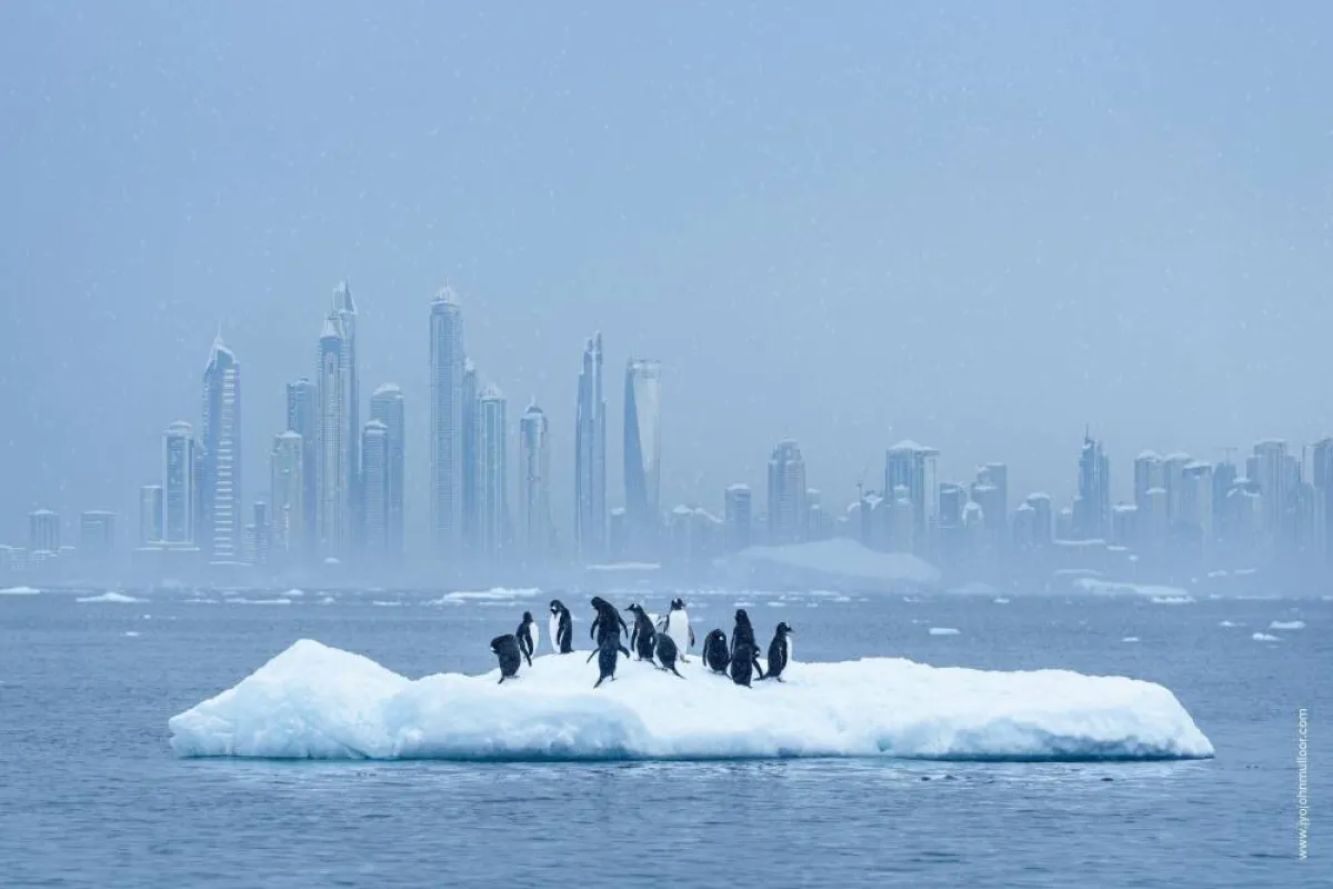 أعمال الفنان جيو جون مولور