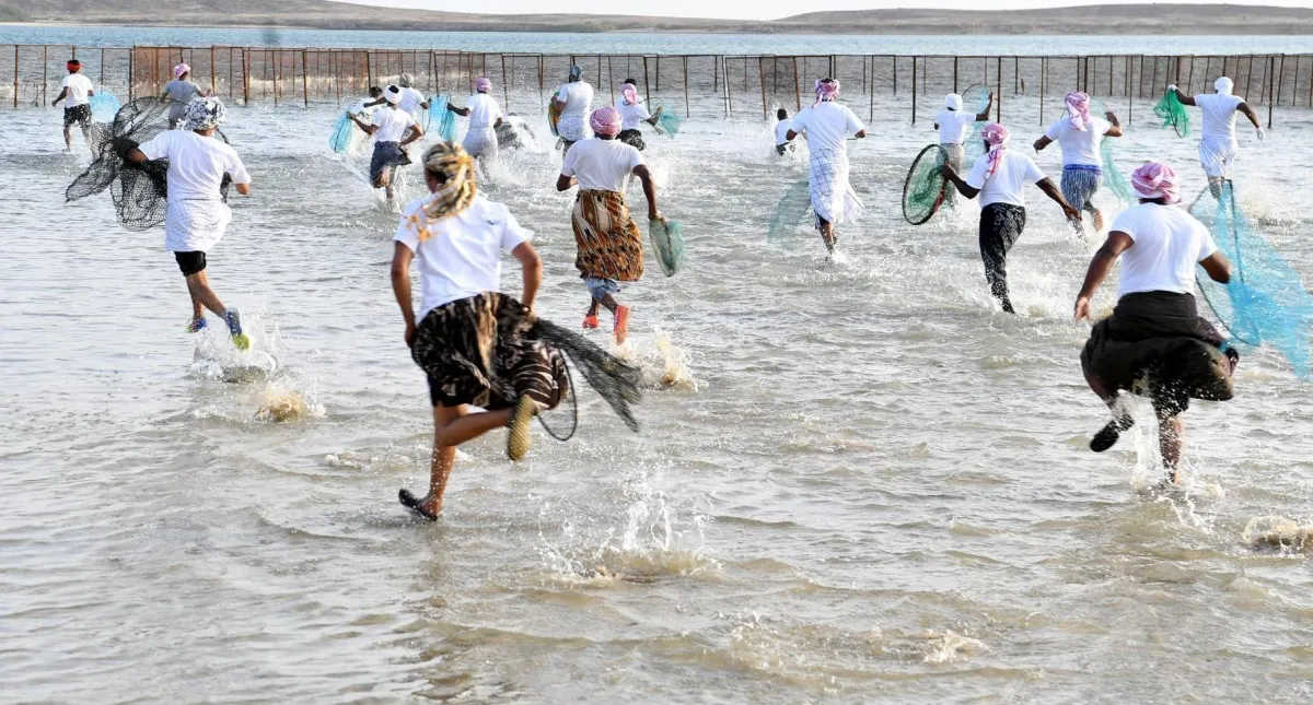 مهرجان سمك الحريد 2021