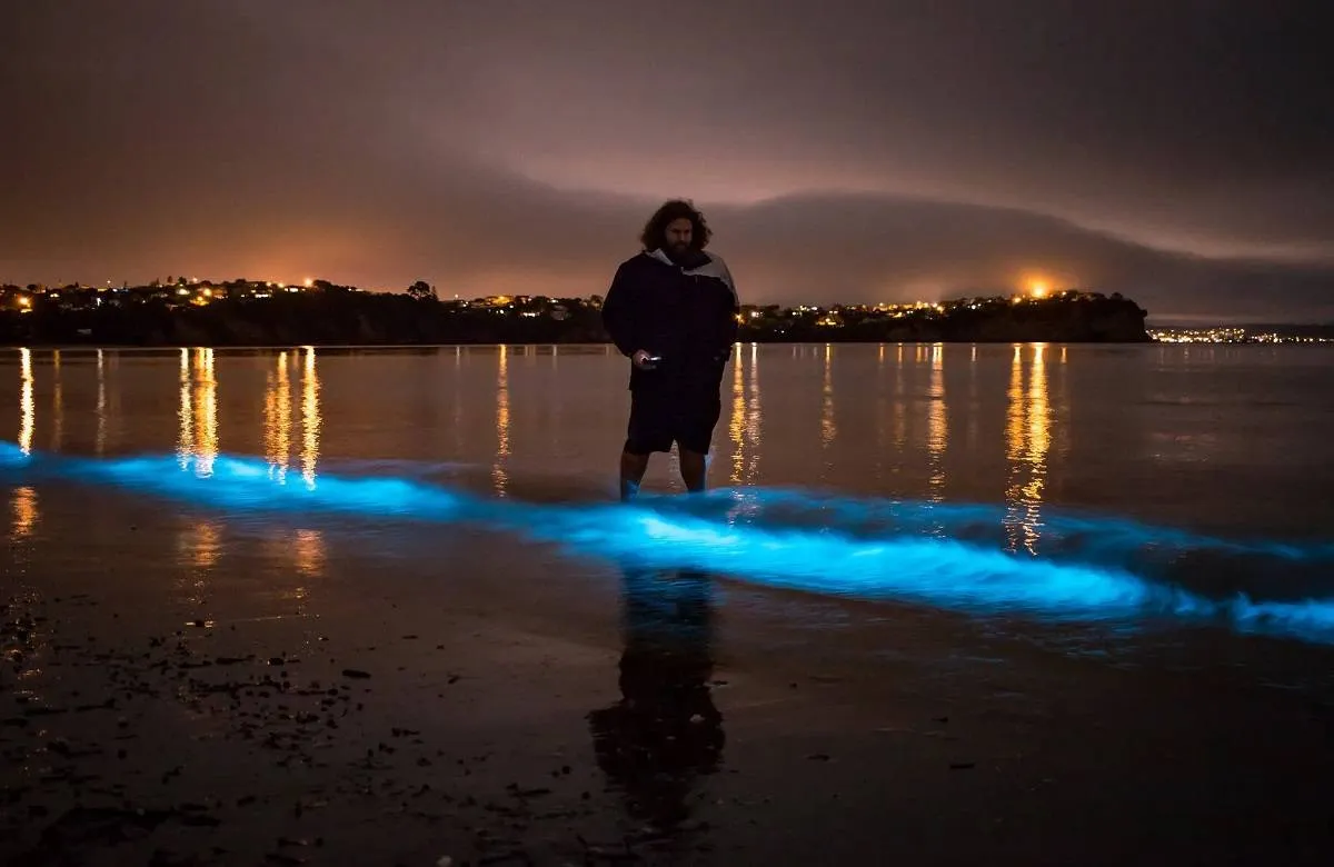 صورة لظاهرة التلالؤ البيولوجي