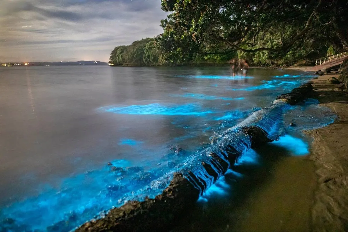 صورة المياه الزرقاء