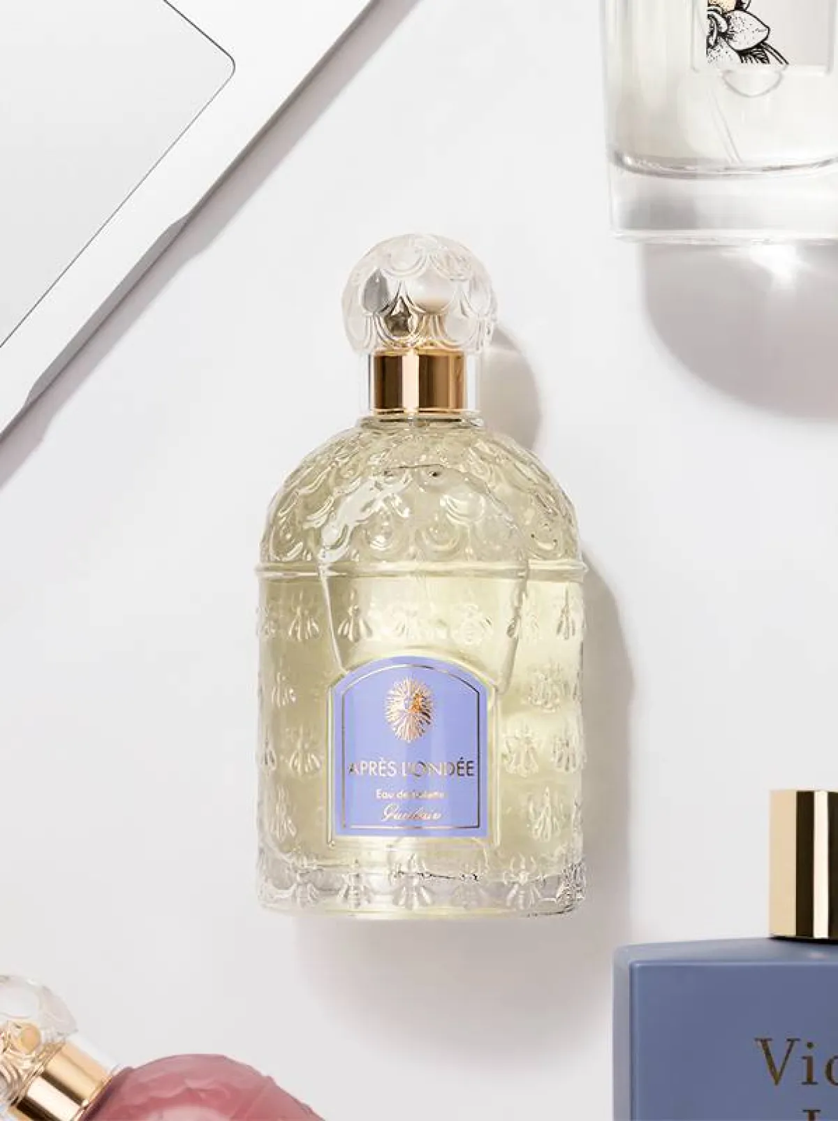 أجمل عطور البنفسج