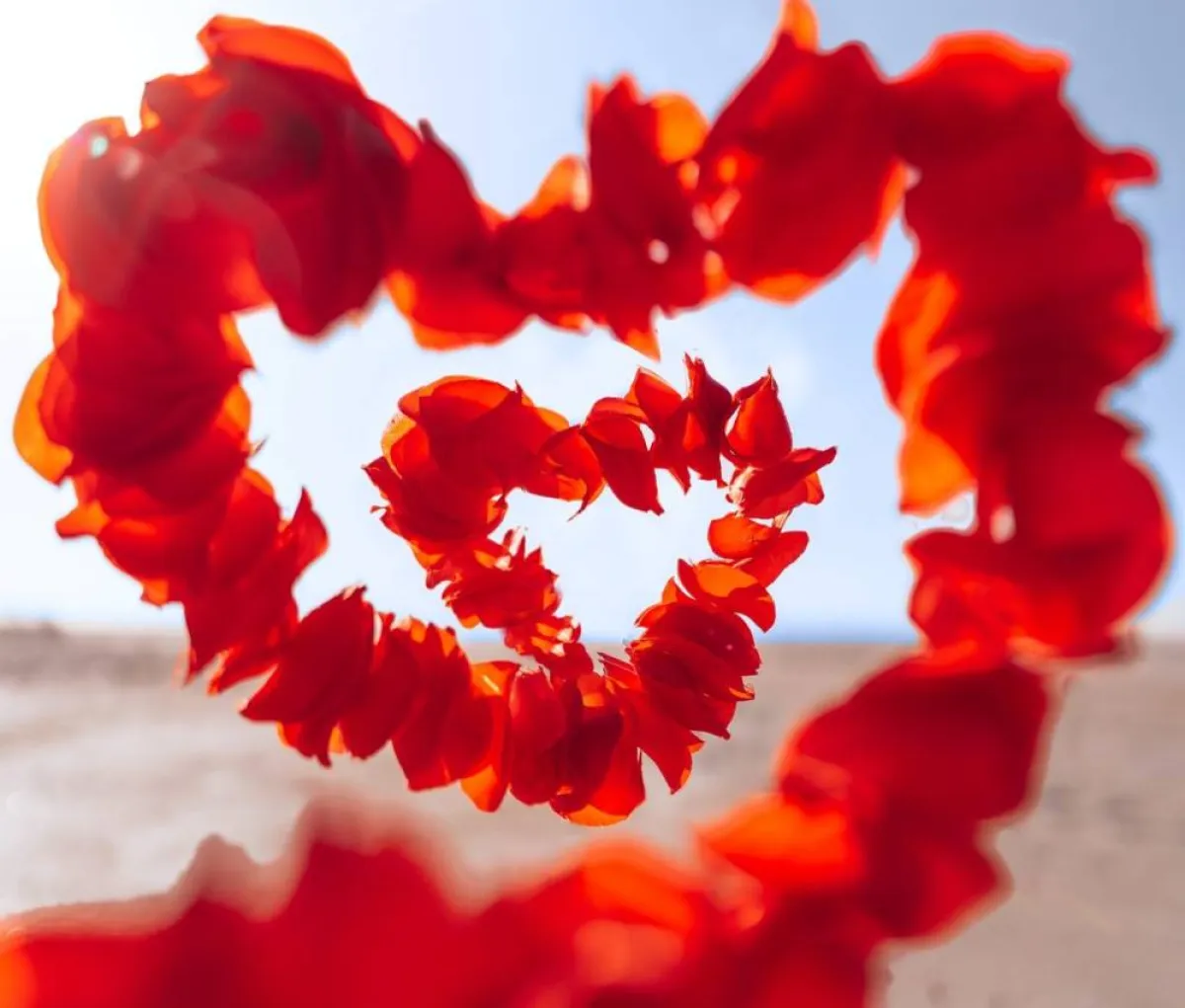 صورة تعبيرية عن الحب