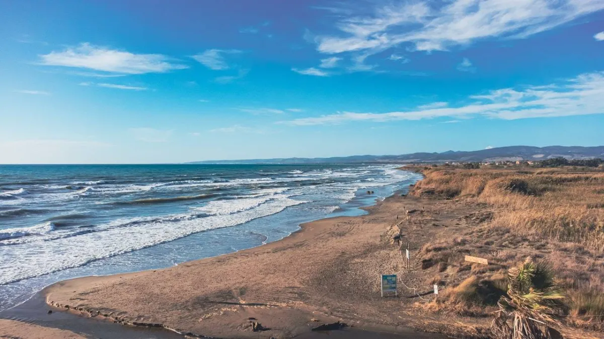 صورة لموج البحر