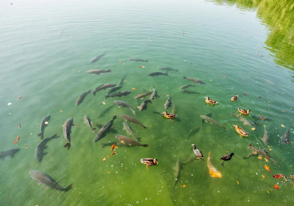 صورة تعبيرية