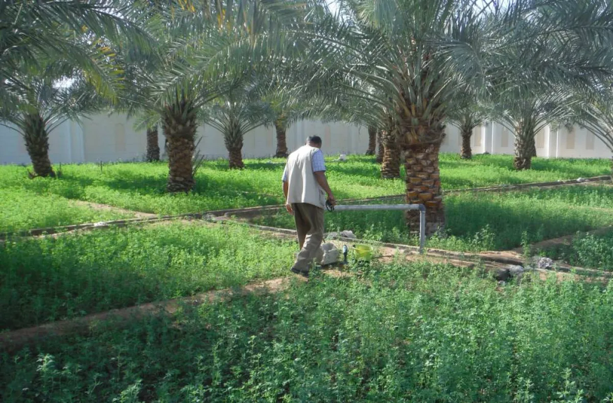 حماية المياه الجوفية في أبوظبي. الصورة من "وام"