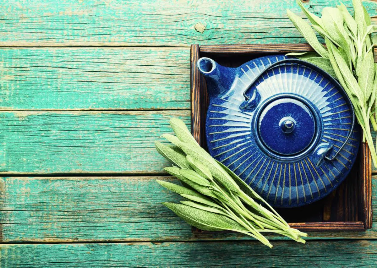 صورة لنبات المريمية