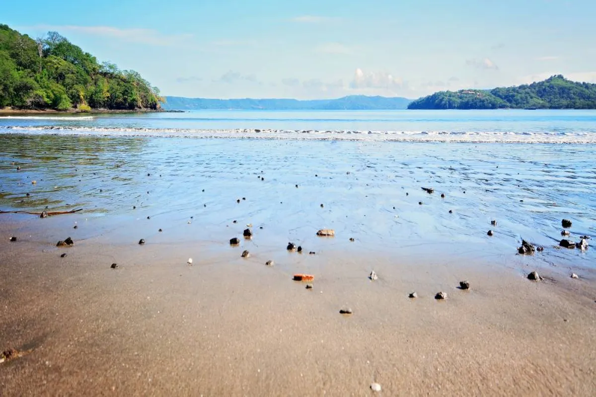 شواطئ جواناكاستي