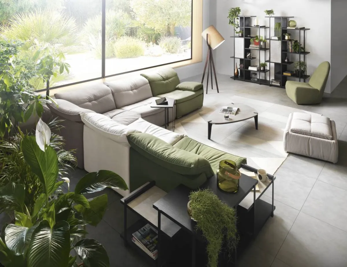 حضور الشتول الطبيعية محبّب في مساحات المعيشة