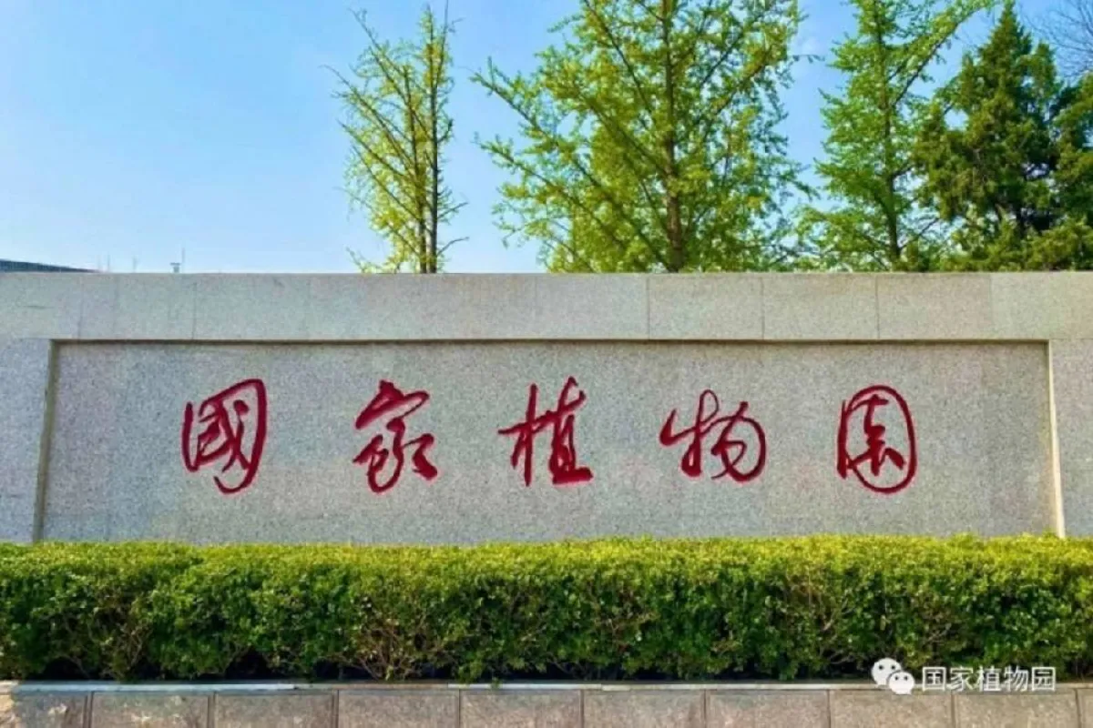 صورة الحديقة النباتية في بكين