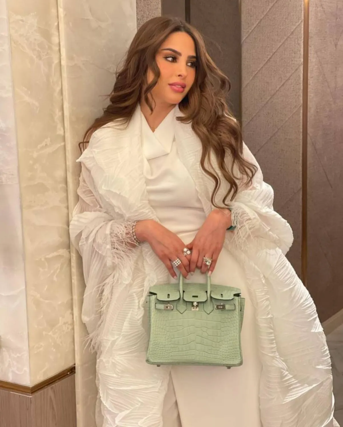 حقائب مدوّنات الموضة