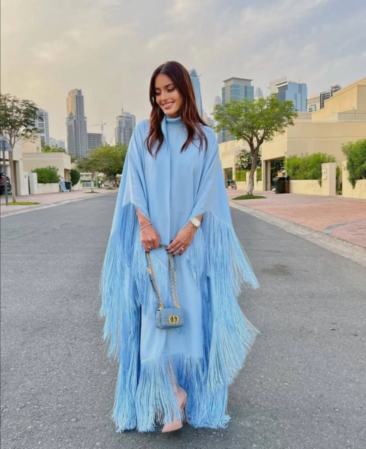 حقائب مدوّنات الموضة