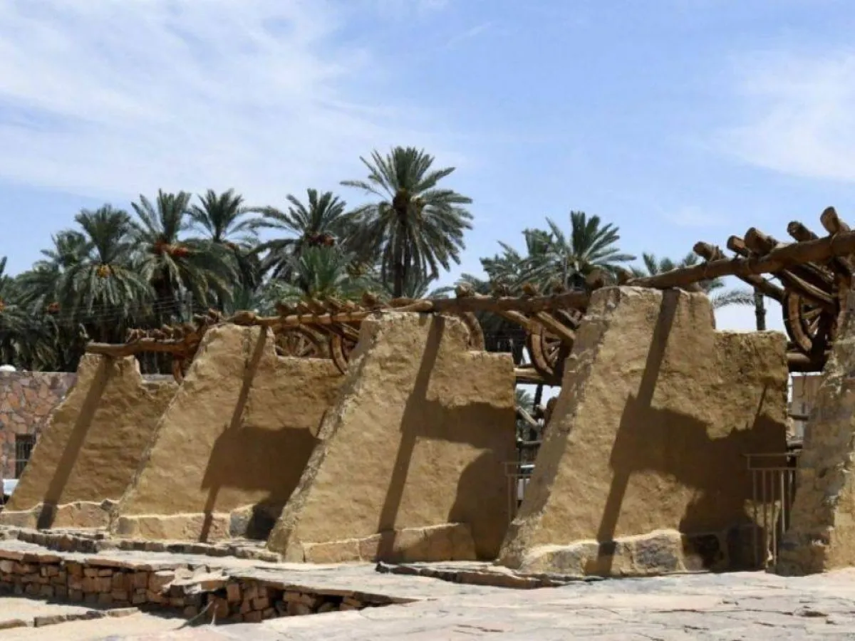 محافظة تيماء 