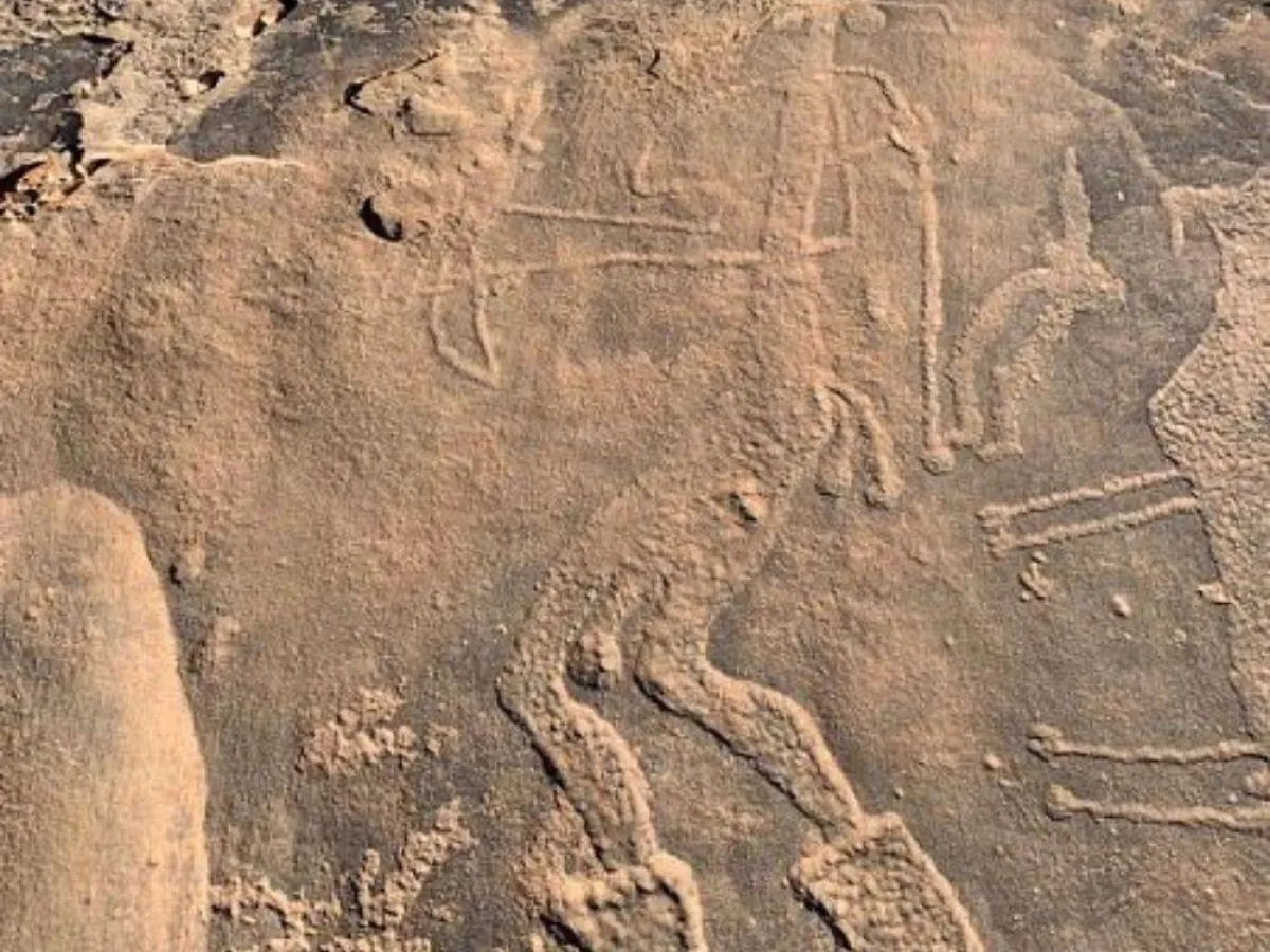 مجموعة من النقوش الثمودية والرسوم الصخرية