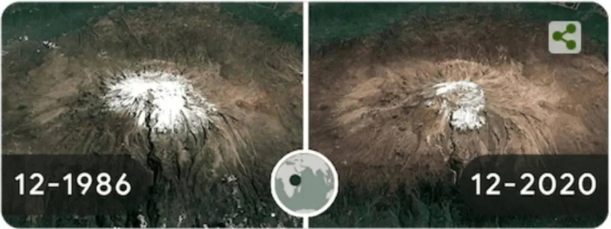 جوجل يحتفل بيوم الأرض