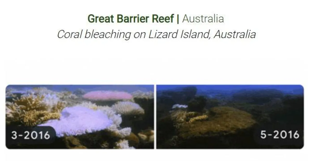 جوجل يحتفل بيوم الأرض