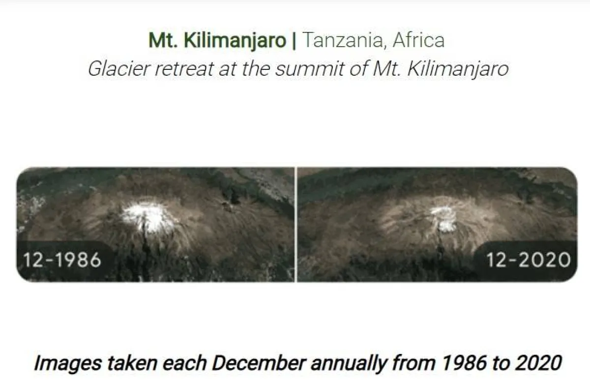 جوجل يحتفل بيوم الأرض