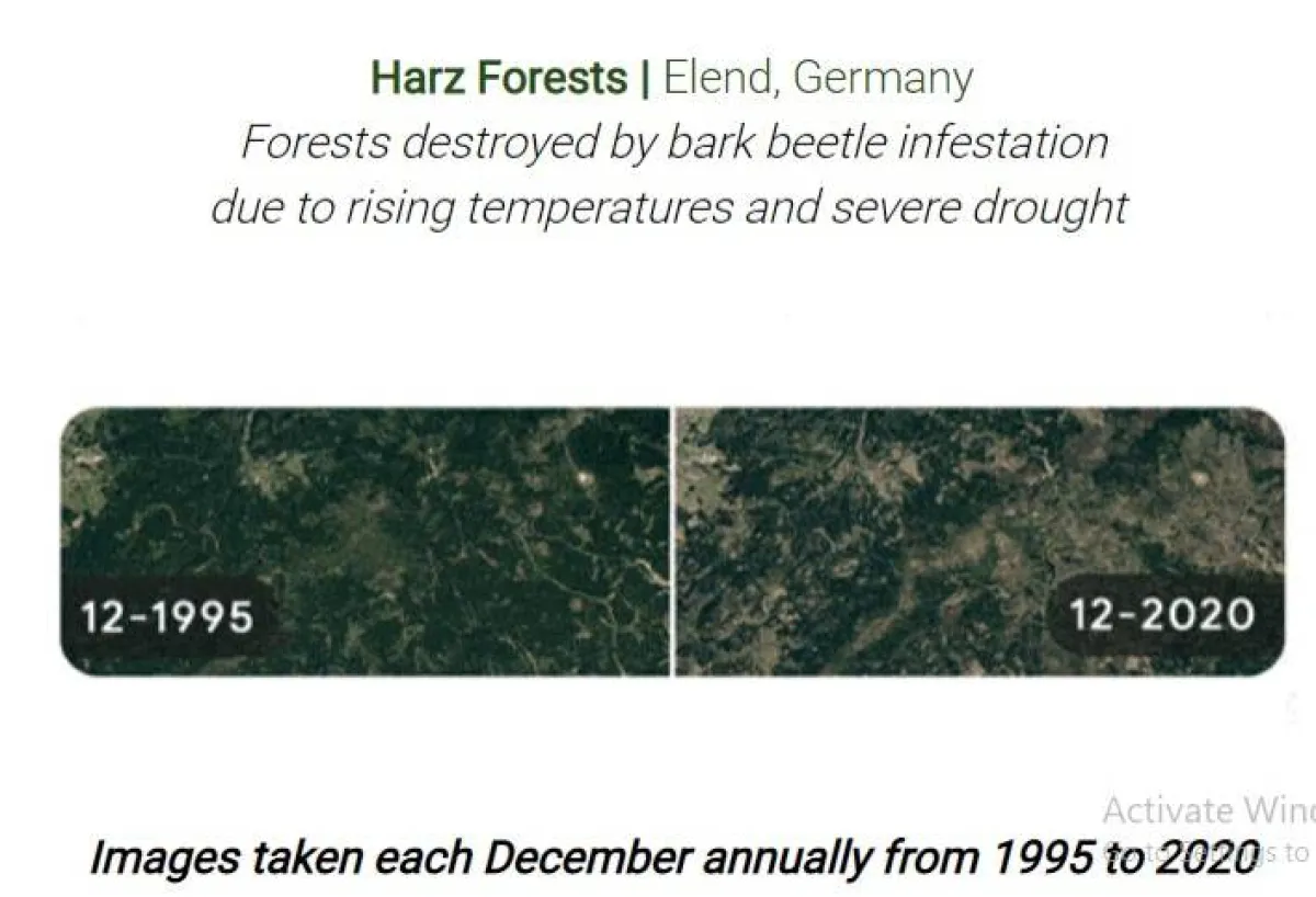 جوجل يحتفل بيوم الأرض