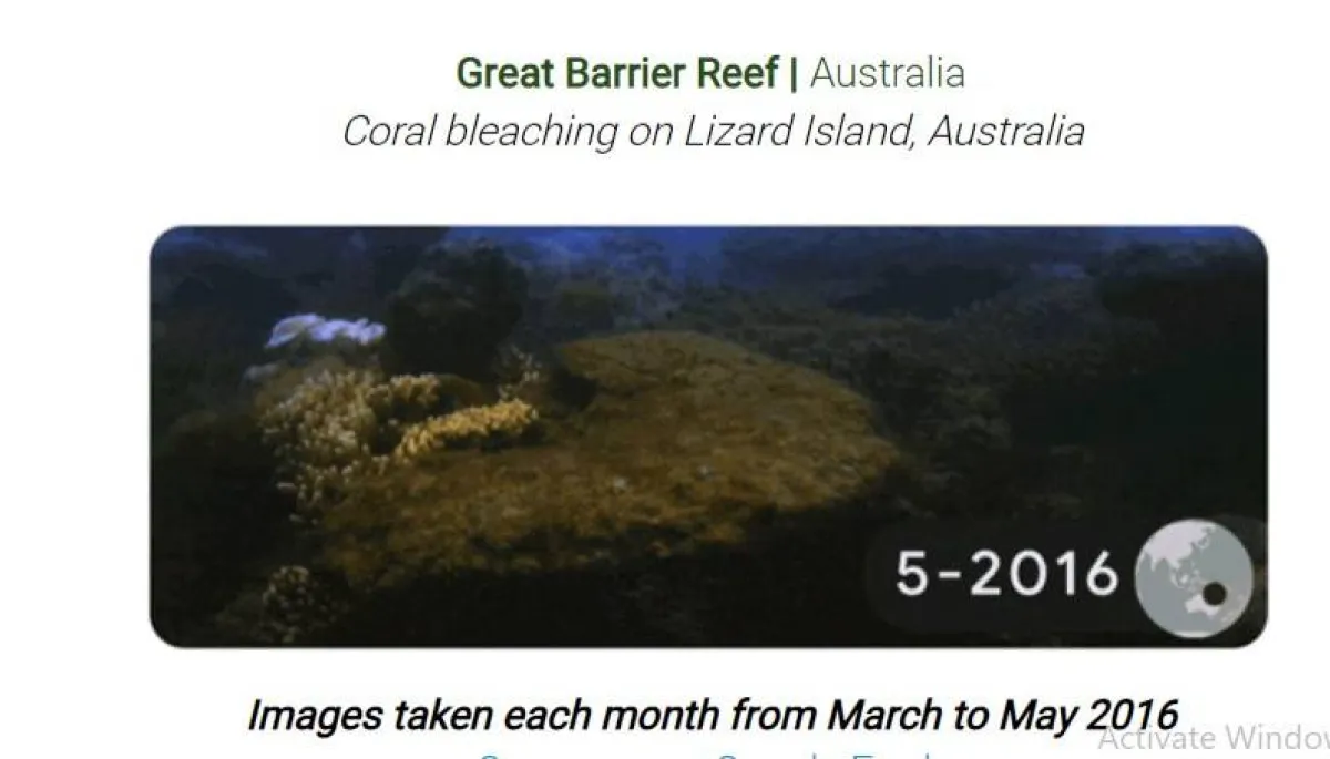 جوجل يحتفل بيوم الأرض