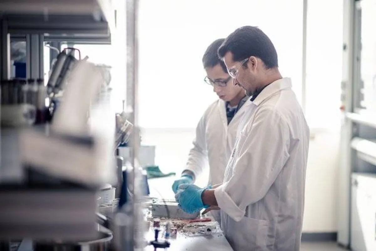 جامعة نيويورك أبوظبي