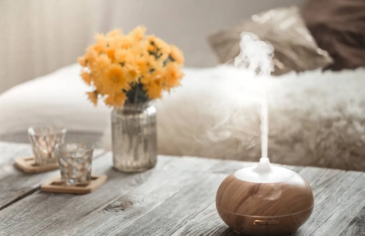 صورة لمرطب الهواء