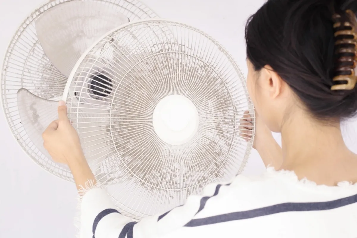 الأتربة تهاجم مناطق محدّدة في المنزل، كمراوح السقف  