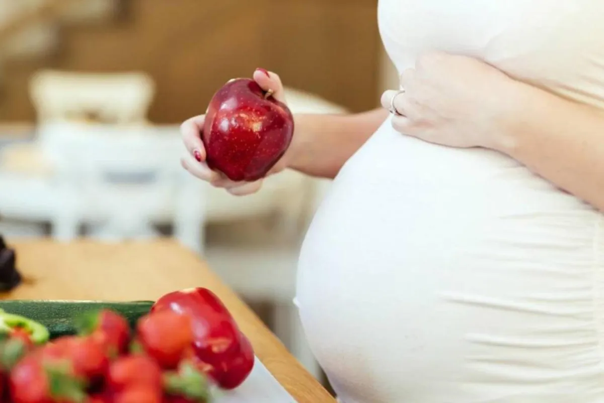 صورة لحامل تقطع الفاكهة