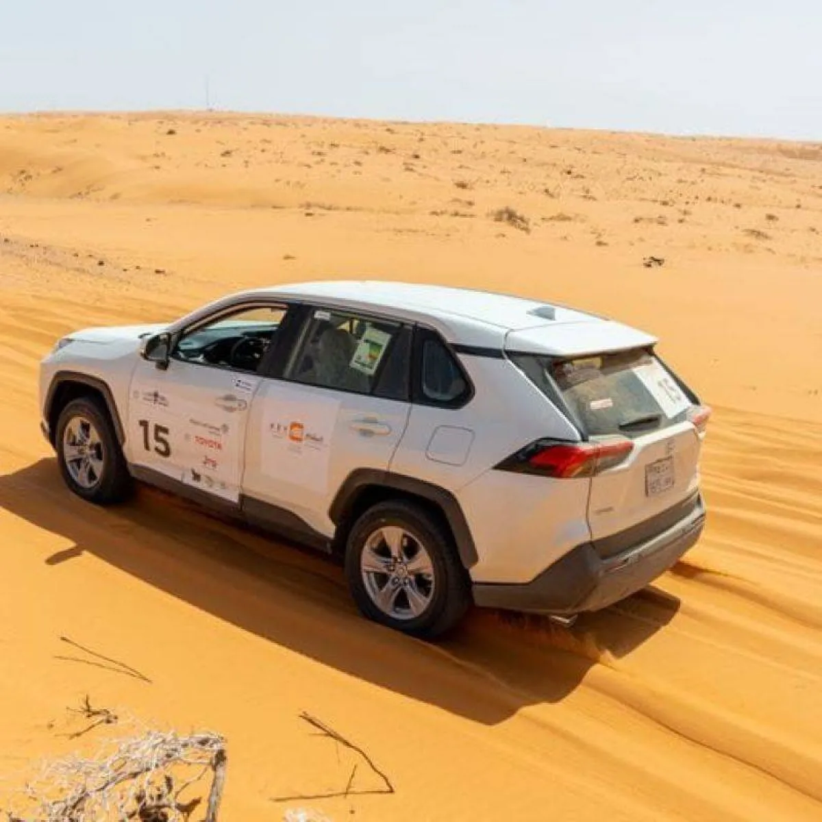 سيارة سباق أفنان بديني