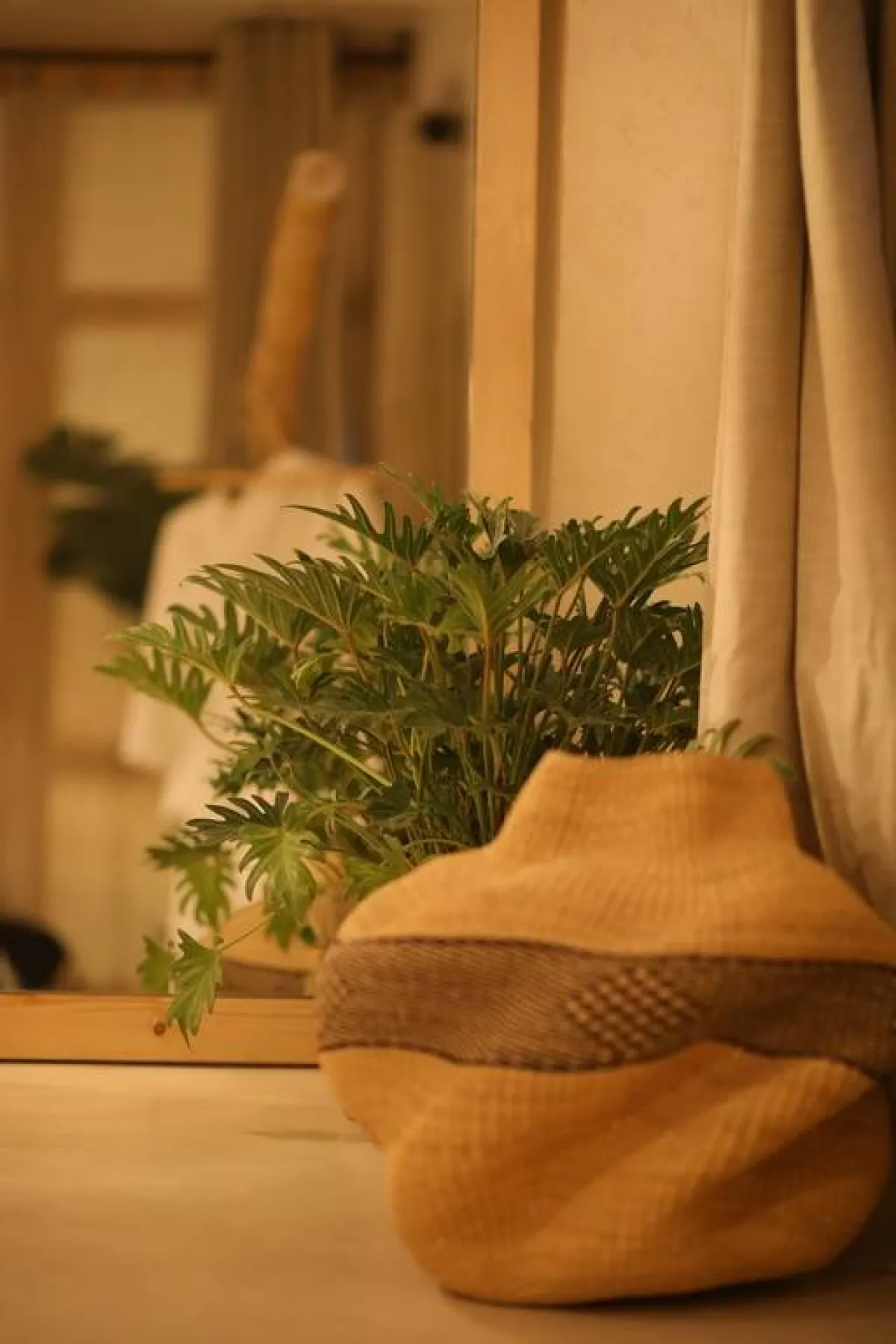 "البيوفيليا" تقضي باستخدام عناصر حيّة من الطبيعة 