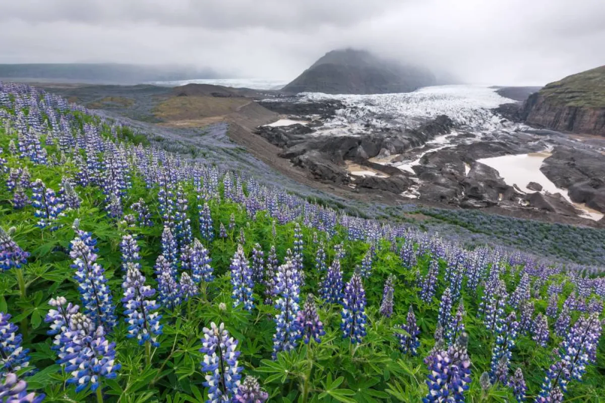 الطريق البري لإيسلندا