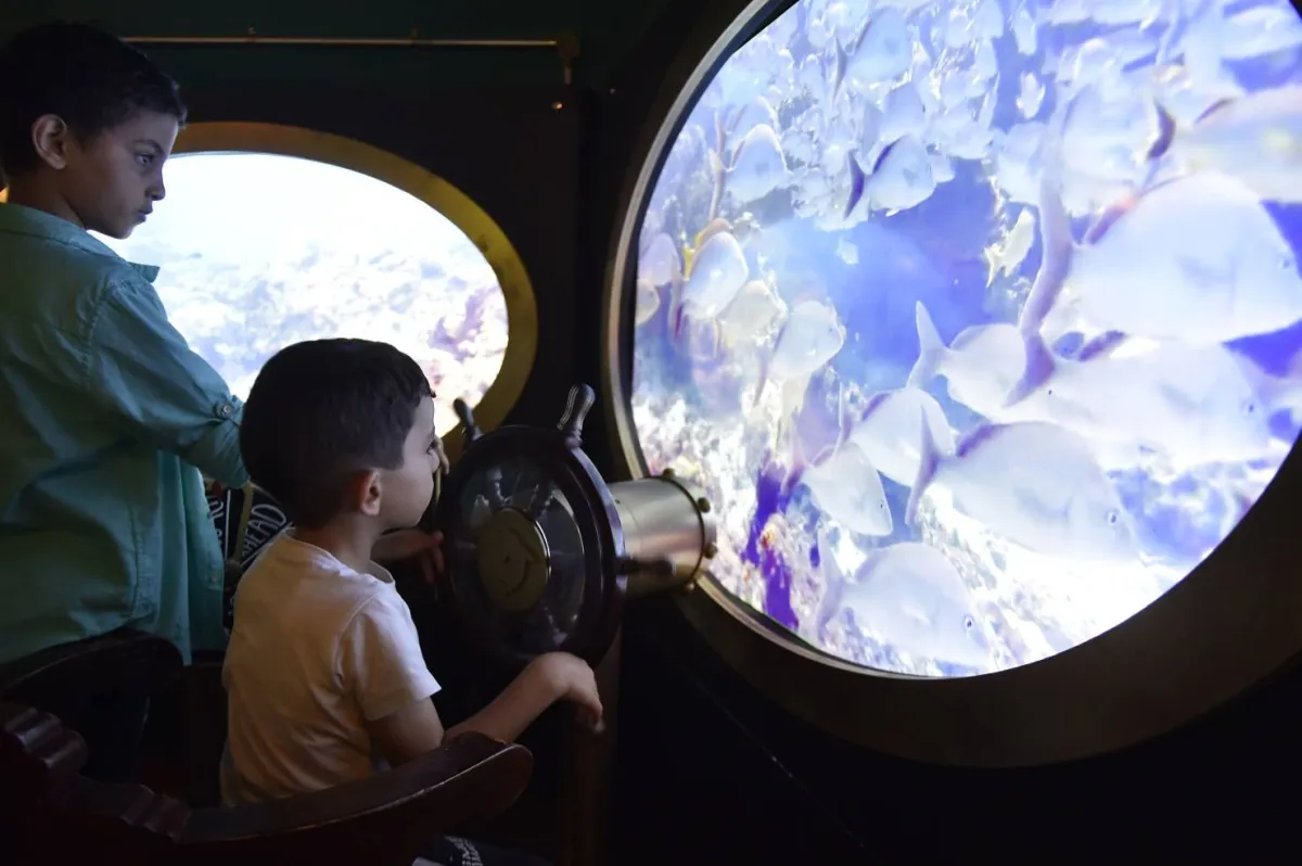 كون كونك. الصورة من "وام"