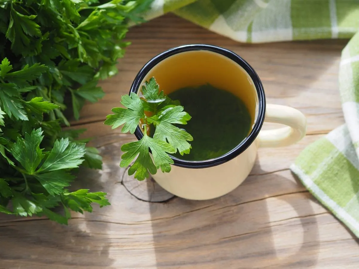 فوائد مغلي البقدونس للدورة الشهرية