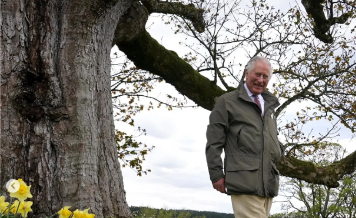 الأمير تشارلز