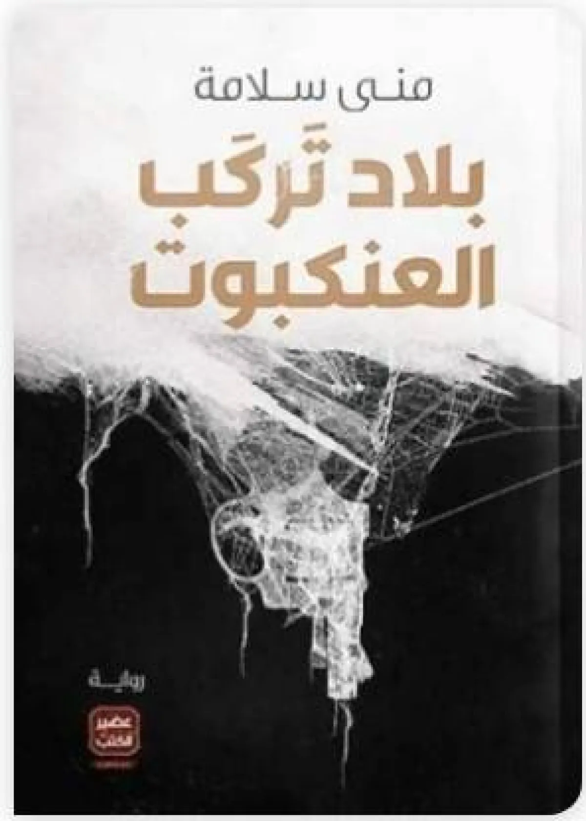 كتب روائية 