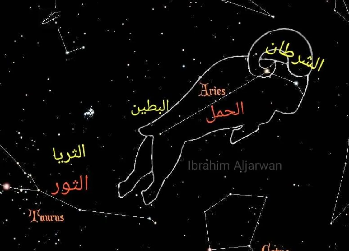 صورة توضيحية للشرطين. الصورة من "وام"