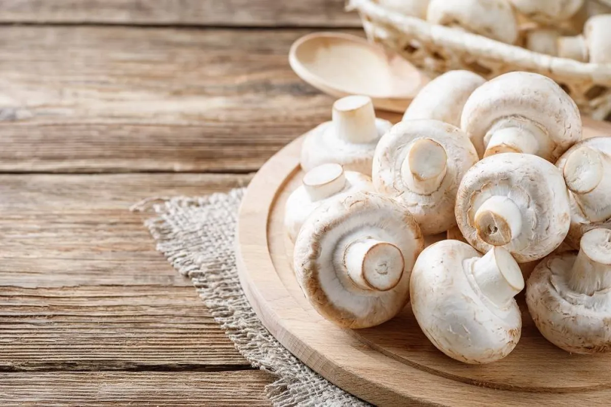 الفطر للبشرة