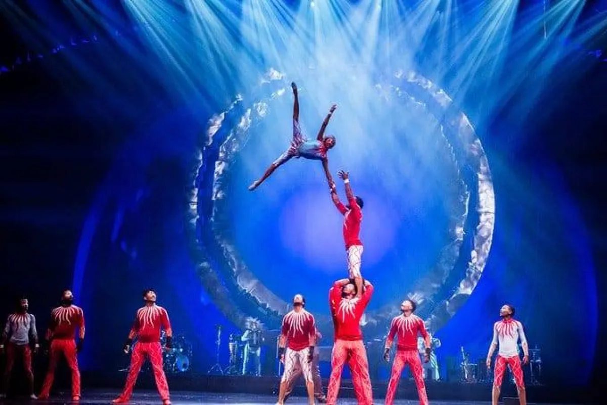 عروض السيرك المبهرة