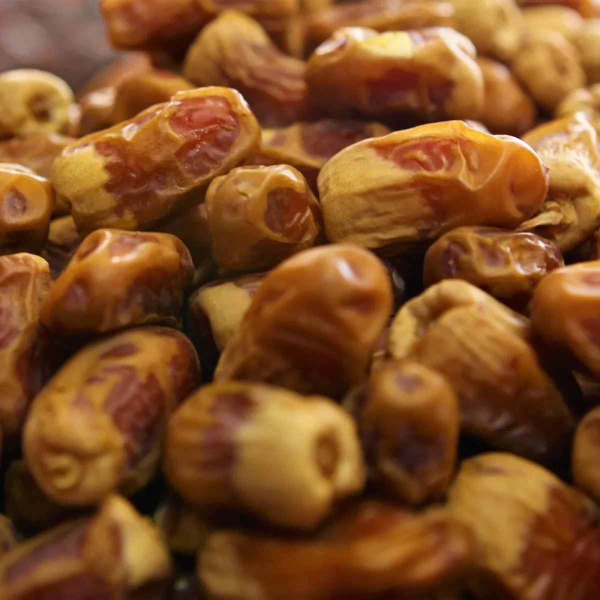 صورة لحبات التمر