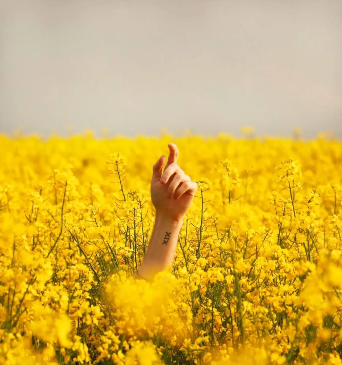 صورة تعبيرية عن طلب النجاة
