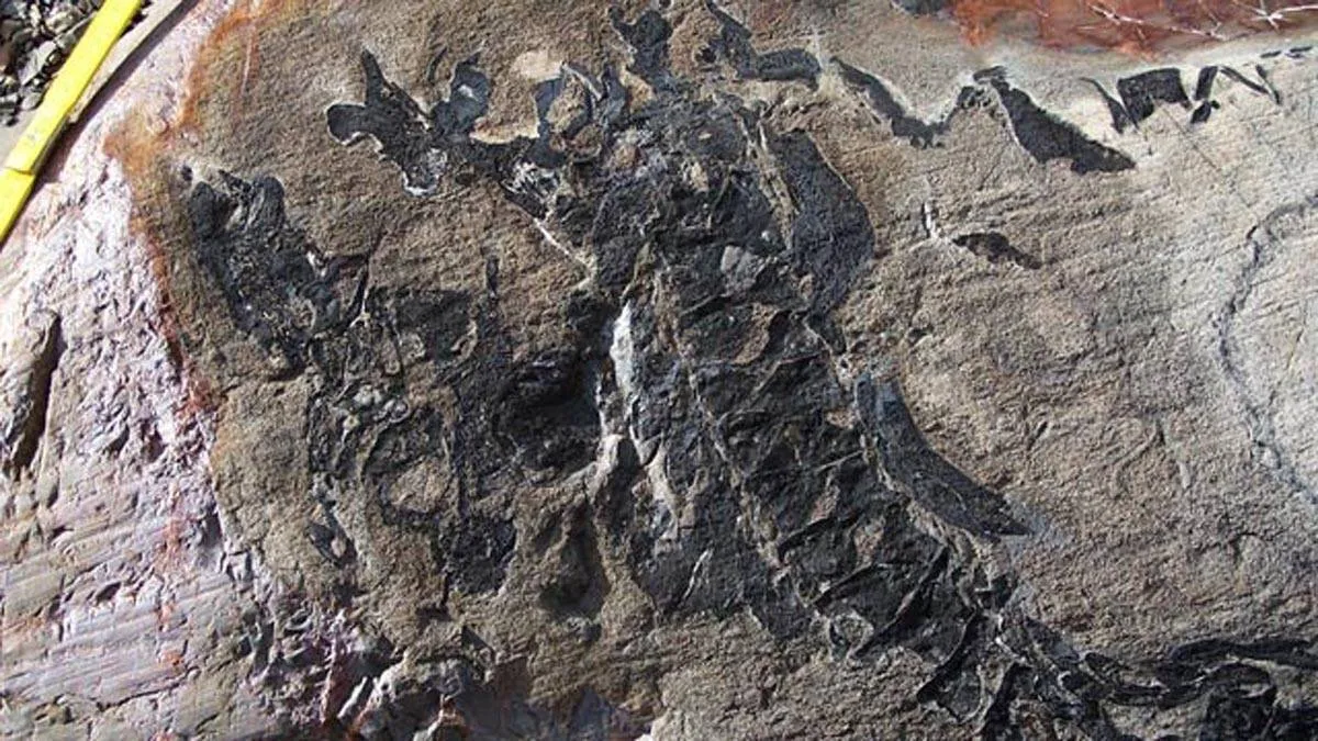 استخراج حفرية سليمة لإكتيوصور 