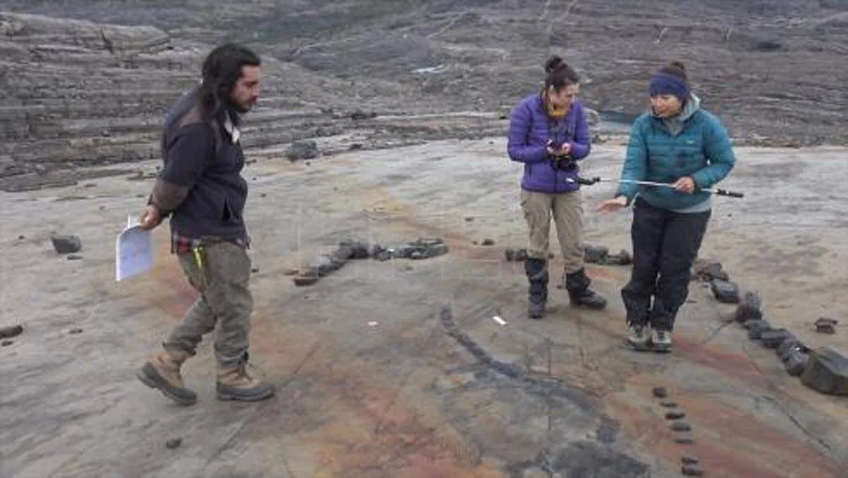 استخراج حفرية سليمة لإكتيوصور 