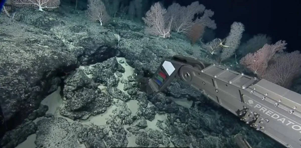 اكتشاف غريب للعلماء في قاع المحيط