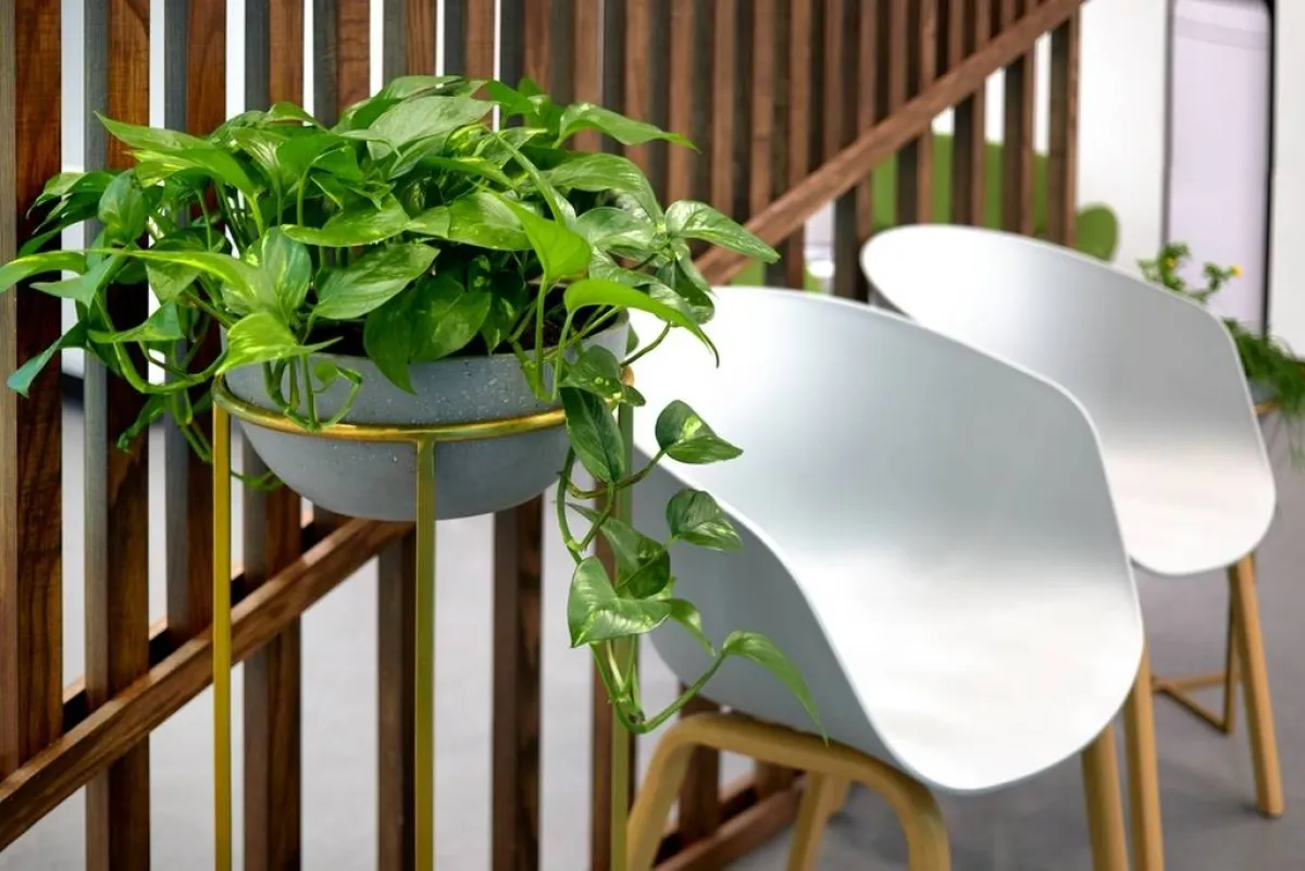 قد يُدمج حوض النبات بتصميم العازل