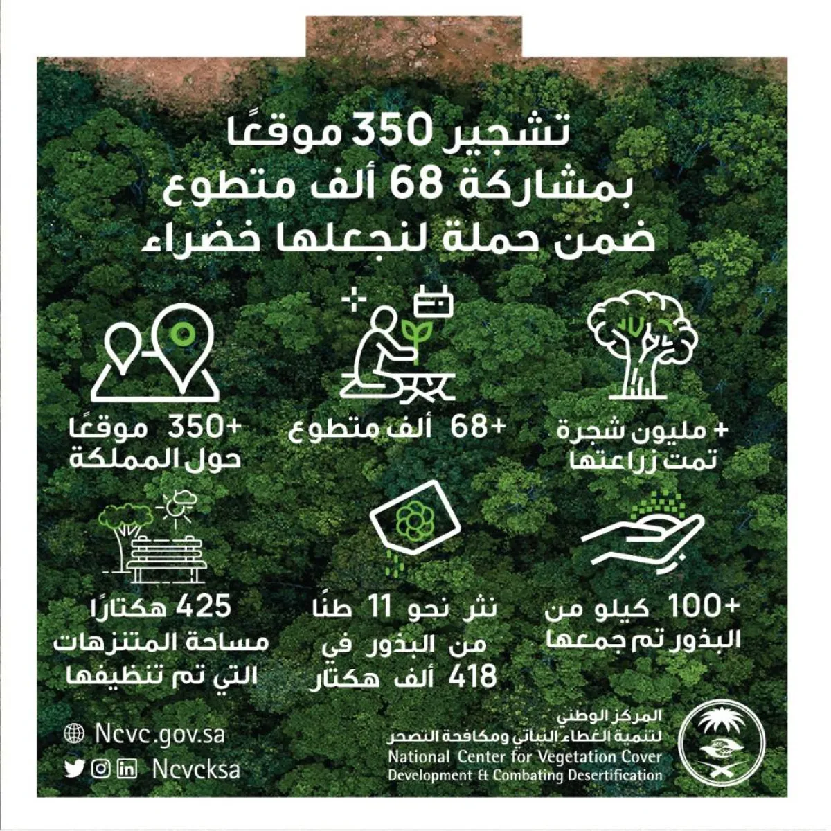 تشجير أكثر من 350 موقعًا حول المملكة بمشاركة 68 ألف متطوع