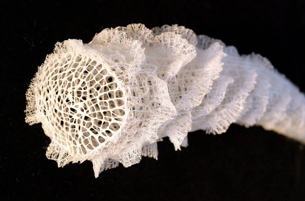 اكتشاف جبال من السكر مخبأة في نباتات المحيط