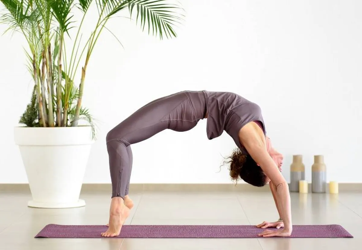 تمرين الجسر