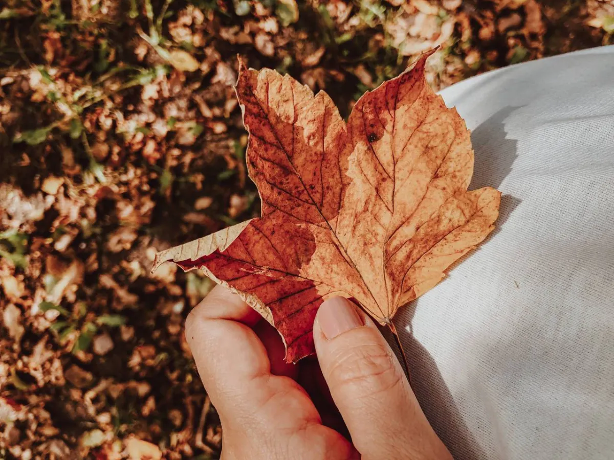 صورة تعبيرية عن ألوان إفرازات الرحم