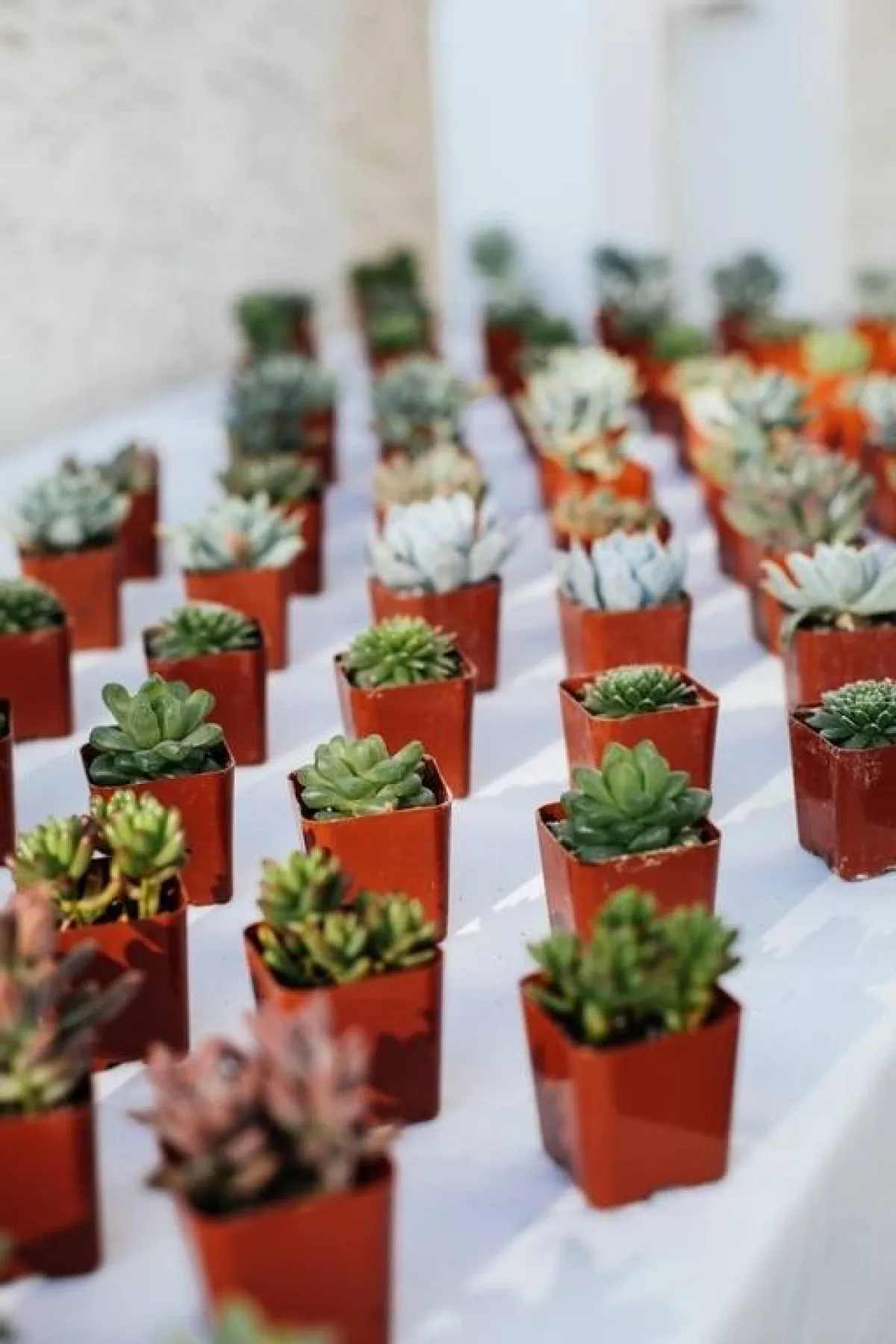 طريقة بسيطة في تزيين حفل الزفاف