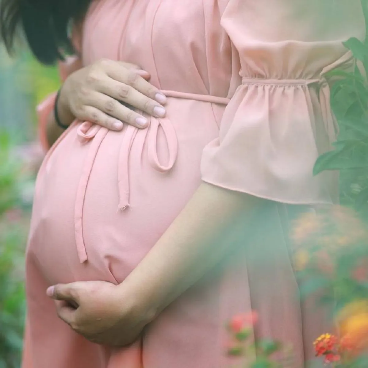 صورة للحامل