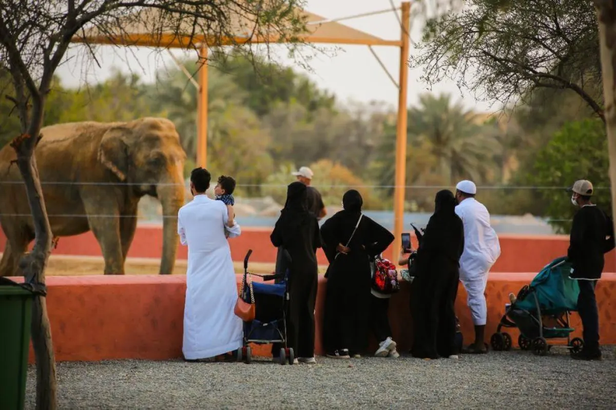 إن كنت من محبي السفاري  تعرف على منطقة جدة